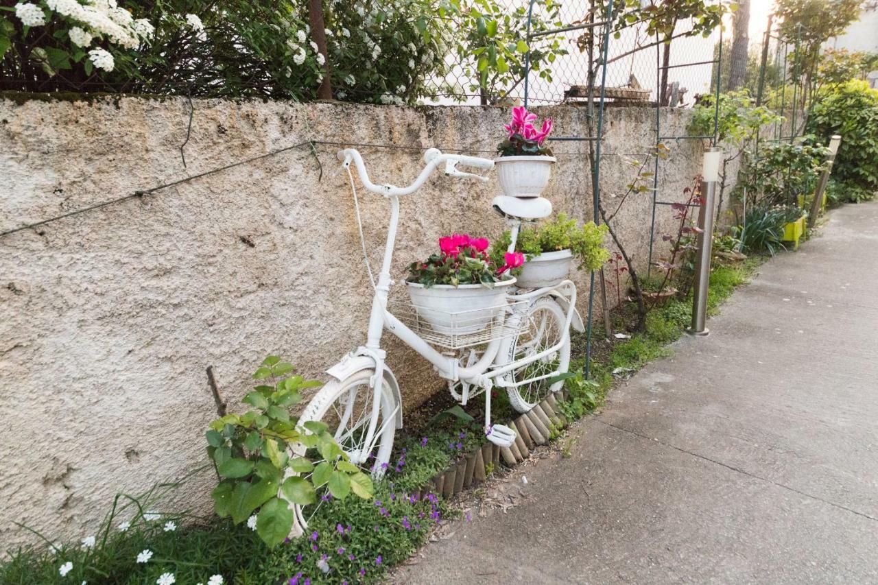 Apartments Lili Family ザダル エクステリア 写真